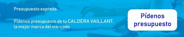 presupuesto-caldera-de-gas-vaillant